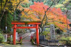 I Giardini di Osaka (Giappone) con i colori accesi ...