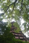 Il giardino della Pagoda delle 6 Armonie vicino ...