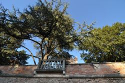 Giardino Pensile del Castello di Bevilacqua. Si tratta di una grande giardino all'italiana, molto ben tenuto e tra i più famosi, del genere, in Italia