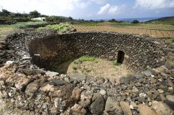 Un classico giardino Pantesco a Pantelleria, costruito utilizzando le rocce vulcaniche dell'isola. Servono per proteggere le piante più delicate dai forti venti che spirano sull'isola. ...