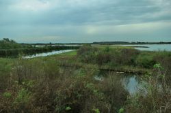 La Valle Cavanata ospita una importante riserva naturale