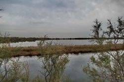 Le zone umide della Valle Cavanata vicino a Grado