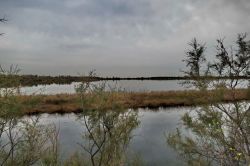 Le zone umide della Valle Cavanata vicino a Grado