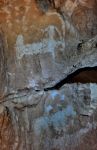 Graffiti nella Djara Cave, Egitto: incisioni rupestri nella Sala delle Gazzelle - In collaborazione con I Viaggi di Maurizio Levi