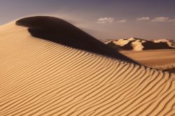 Il Gran mare di Sabbia, l' erg dell'egitto che separa l'Oasi di Siwa con quellae di Farafra e Bahariya - © elena moiseeva / Shutterstock.com