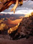 Grand Canyon Colorado al tramonto, Arizona - di ...