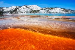 Grand Prismatic Spring nel Midway Gayser Basin dello Yellowstone National Park (USA): sullo sfondo le montagne con la neve. Il parco possiede un'altezza media di 1700 metri e quindi in inverno ...