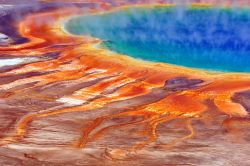 I colori incredibili della sorgente Grand Prismatic Spring: questo lago del Midway Geyser Basin si trova nello Yellowstone National Park. L'intensa colorazione di questi fanghi è ...