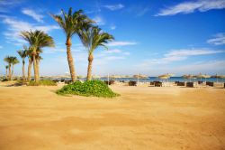 Grande spiaggia sabbiosalungo la costa settentrionale del Mar Rosso a Sharm el Sheikh, in Egitto - © Lyubov Timofeyeva / Shutterstock.com