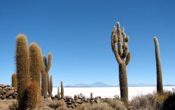 Lago e salar Bolivia sulle Ande