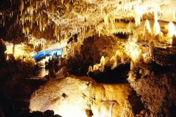 L'Harrisons Cave è un sistema carsico nel cuore Barbados, nei pressi della Flower Forest - Fonte: Barbados Tourism Authority