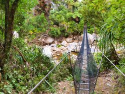 Heaphy Track: un ponte sospeso sul famoso sentiero del Kahurangi National Park in Nuova Zelanda - © CreativeNature.nl / Shutterstock.com