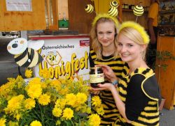 Hermagor (Austria), un momento della Honigfest, la tradizionale festa del miele in programma a metà agosto. Questo grazioso borgo della Carinzia dedica un appuntamento al nettare delle ...