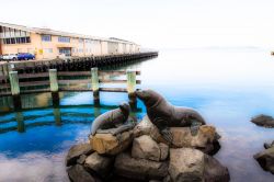 Hobart il monumento particolare si trova nel porto della capitale della Tasmania - © Curioso / Shutterstock.com