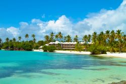 Un hotel lusso a Punta Cana. molti resort della località hanno accesso diretto alla magnifica spiaggia corallina di questo angolo orinetale di Repubblica Dominicana - © Cedric Weber ...