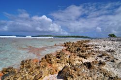 I colori del Pass sud di Fakarava, Isole uamotu