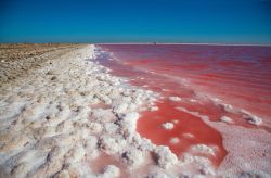 I colori del sale in Camargue, Francia - © Bienchen-s / Shutterstock.com