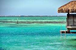 I colori della Laguna a nord della costa di Moorea in Polinesia