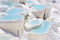 I colori pastello delle acque di Pamukkale, le vasche si trovano sopra le celebri cascate di travertino della Turchia - © Serghei Starus / Shutterstock.com