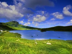 I colori di Skye, l'sola appena ad  ovest della Scozia. Skye è unita alla terraferma da un ponte e i suoi paesaggi ricordano molto quelli delle vicine Highlands scozzesi con ...