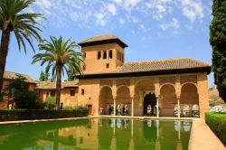 I giardini della Alhambra a Granada Andalusia Spagna meridionale 41898592 - © Madrugada Verde / Shutterstock.com