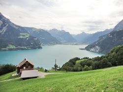 I pascoli alpini della Svizzera con il lago dei 4 Cantoni