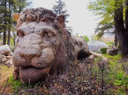 Ifrane, Marocco: una delle attrattive di ifrane ...