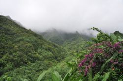 Il rigoglioso interno di Tahiti in Polinesia Francese