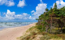 Il Mar Baltico a Palanga: spiagge, foreste di conifere, per una full immersion nella natura della Lituania - © Max Topchii / Shutterstock.com