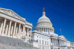 Il complesso neoclassico del Campidoglio di Washington DC, USA. La cupola doppia possiede un diametro di 30 metri - © S.Borisov / Shutterstock.com