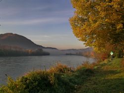 Il danubio vicino a Melk Bassa Austria