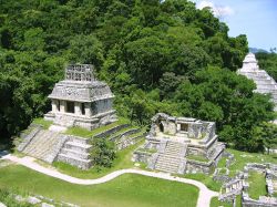 Le piramidi e i palazzi di Palenque sono avvolti nella foresta tropicale del Chiapas, Messico - © holbox / Shutterstock.com