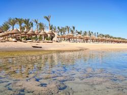 Il limpido mar Rosso a Sharm el Sheikh, Egitto  - © Marcin-linfernum / Shutterstock.com