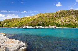 La costa di Agriates: mare cristallino e natura ...