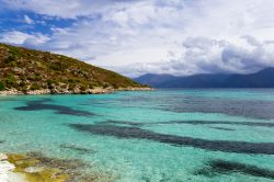 Sole e nuvole su Spiaggia Saleccia, il lato selvaggio della Corsica - nascosta dalla natura fitta e rigogliosa e raggiungibile solo via mare o attraverso impervi sentieri, Spiaggia Saleccia ...