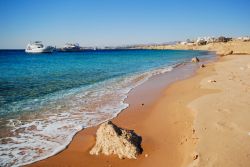 Il mare di Sharm el Sheikh e la spiagga sul Mar Rosso nella Penisola del Sinai in Egitto - © Eric Gevaert / Shutterstock.com