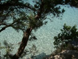 Il mare limpido di Ogliastra in Sardegna richiama ogni anno migliaia di turisti - © Monica Mereu