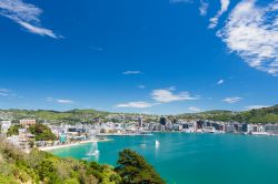 Nella Baia di Wellington, Nuova Zelanda, il mare turchese è invitante ma piuttosto freddo: nonostante la protezione del golfo, si tratta pur sempre dell'acqua dell'Oceano Pacifico. ...