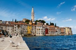 Il molo di Rovigno con gabbiani, sullo sfondo le case del centro storico venenziano della città dell'Istria in Croazia  - © anshar / Shutterstock.com