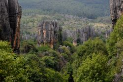 Il paesaggio della Lizijing stone forest, la foresta di pietra di Shilin. Siamo nella provincia di Yunnan a circa 120 km da Kunming, la capitale - © Marc van Vuren / Shutterstock.com ...