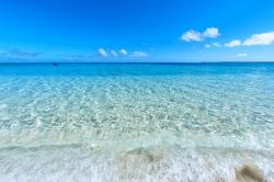Il paradiso tropicale ed il mare trasparente di Tonga - © Andrea Izzotti / Shutterstock.com