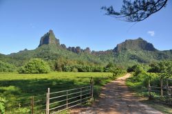 Il verde di Moorea e il picco vulcanico di Roto Nui, famoso per uno splendido belvedere panoramico