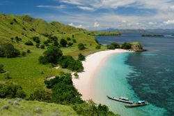 Indonesia, mar di Flores: una spiaggia del  Komodo National Park, che ospita al suo interno diverse specie animali e floreali, oltre che i celebri Draghi di Komodo, i giganteschi varani ...