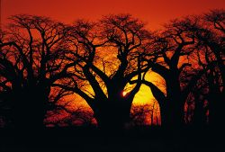 Infuocato tramonto in Sudafrica - Fonte South African Tourism