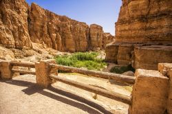 Ingresso della gole di rocce più famosa della regione di Tozeur: il canyon dell'Oasi di Tamerza (Tunisia) - © Marques / Shutterstock.com