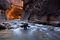 Ingresso alle Zion Narrows, o Gole di Zion, nel Zion National Park dello Utah (USA). L'esplorazione delle gole è tra le più gettonate nella stagione estiva, a partire dal Tempio ...