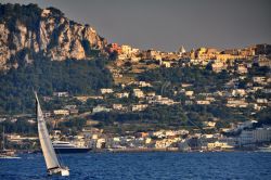 Isola di Capri: Marina Grande e Centro
