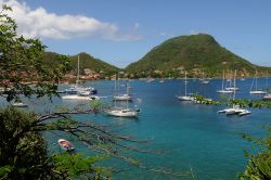 Isole Les Saintes, il piccolo ma splendido arcipelago a sud di Guadalupe, nelle Antille francesi - © Pack-Shot / Shutterstock.com