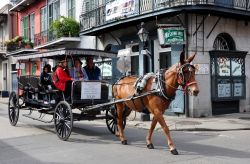 Itinerario guidato nel centro di New Orleans - C'è chi preferisce perdersi letteralmente fra vie e stradine della città percorrendola a piedi accompagnato solo da una buona ...