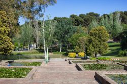 Giardino botanico di Montjuic a Barcellona, Spagna. Chiamato in catalano Jardì Botanic Historic, questo spazio verde pubblico è uno dei luoghi segreti meglio custoditi del parco ...